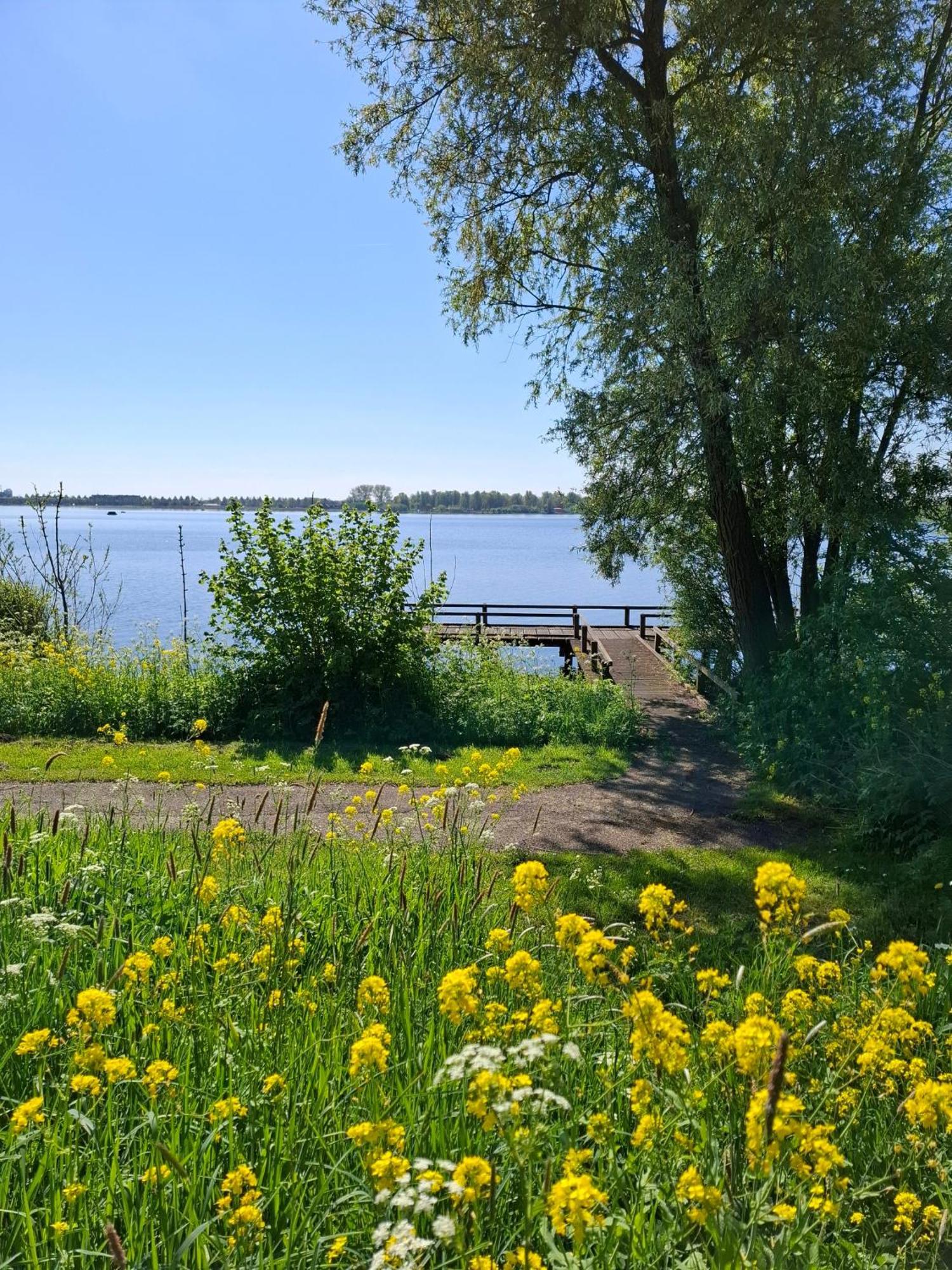 זוטרמיר Sweetlake מראה חיצוני תמונה