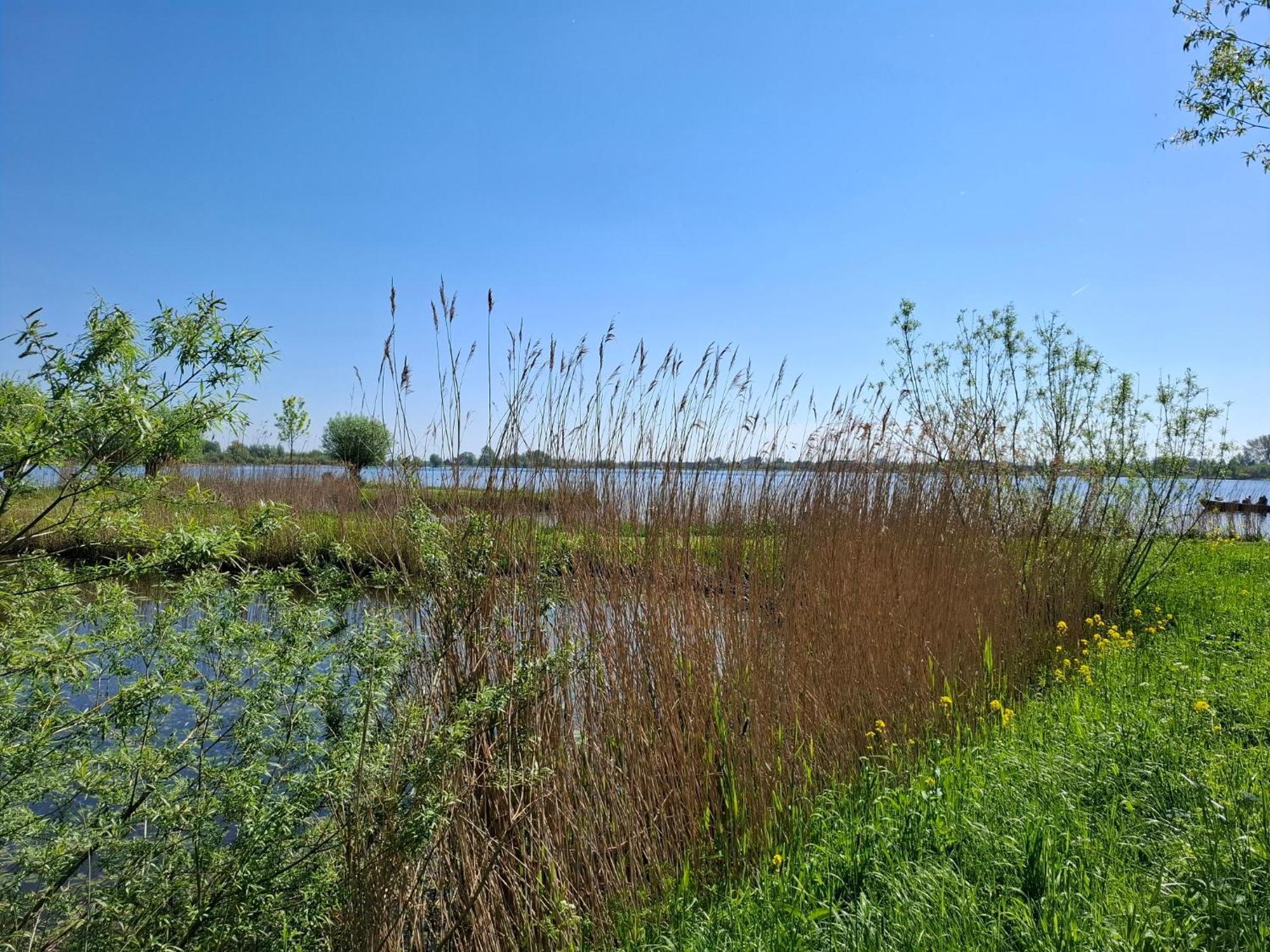 זוטרמיר Sweetlake מראה חיצוני תמונה