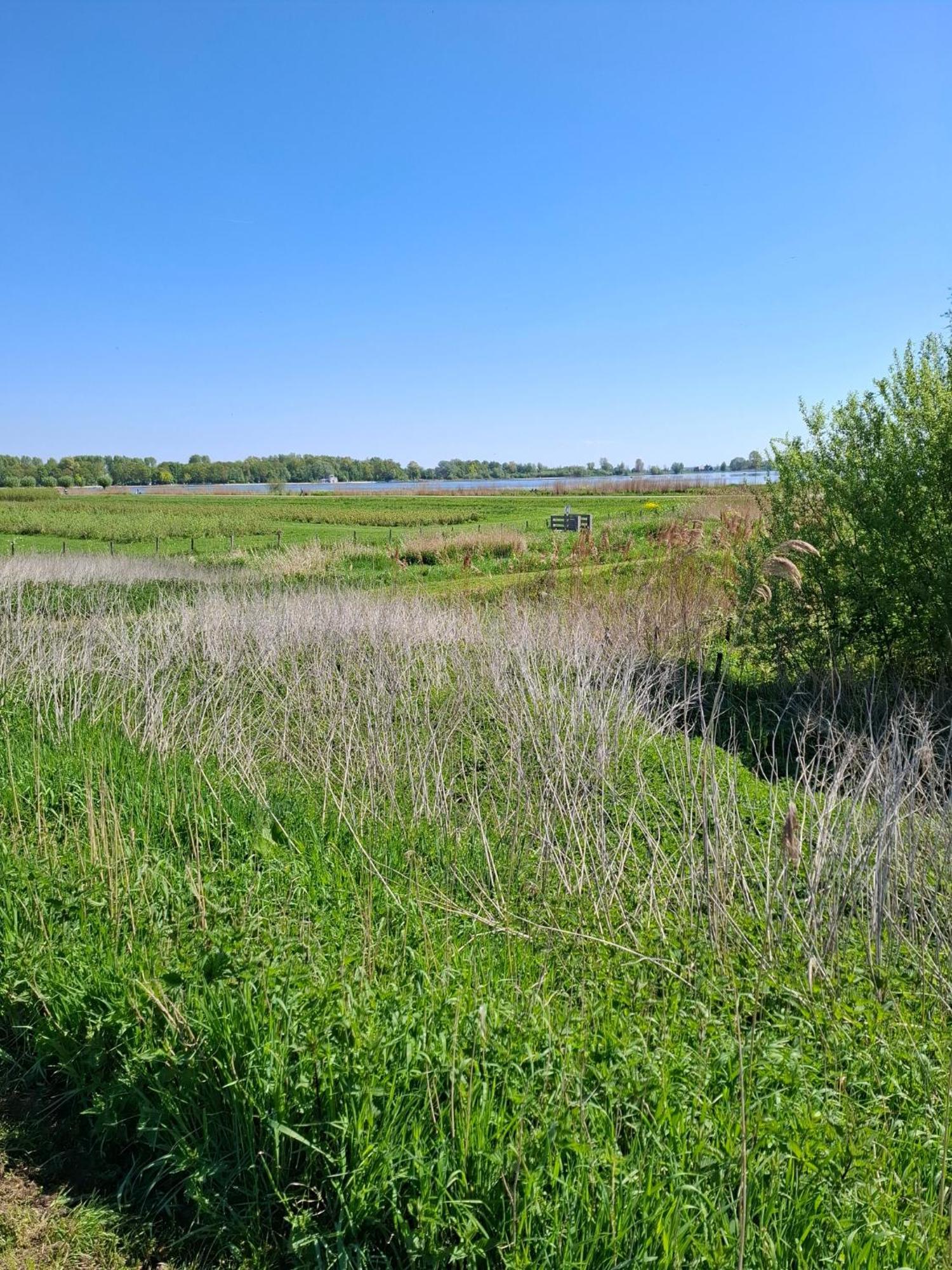 זוטרמיר Sweetlake מראה חיצוני תמונה