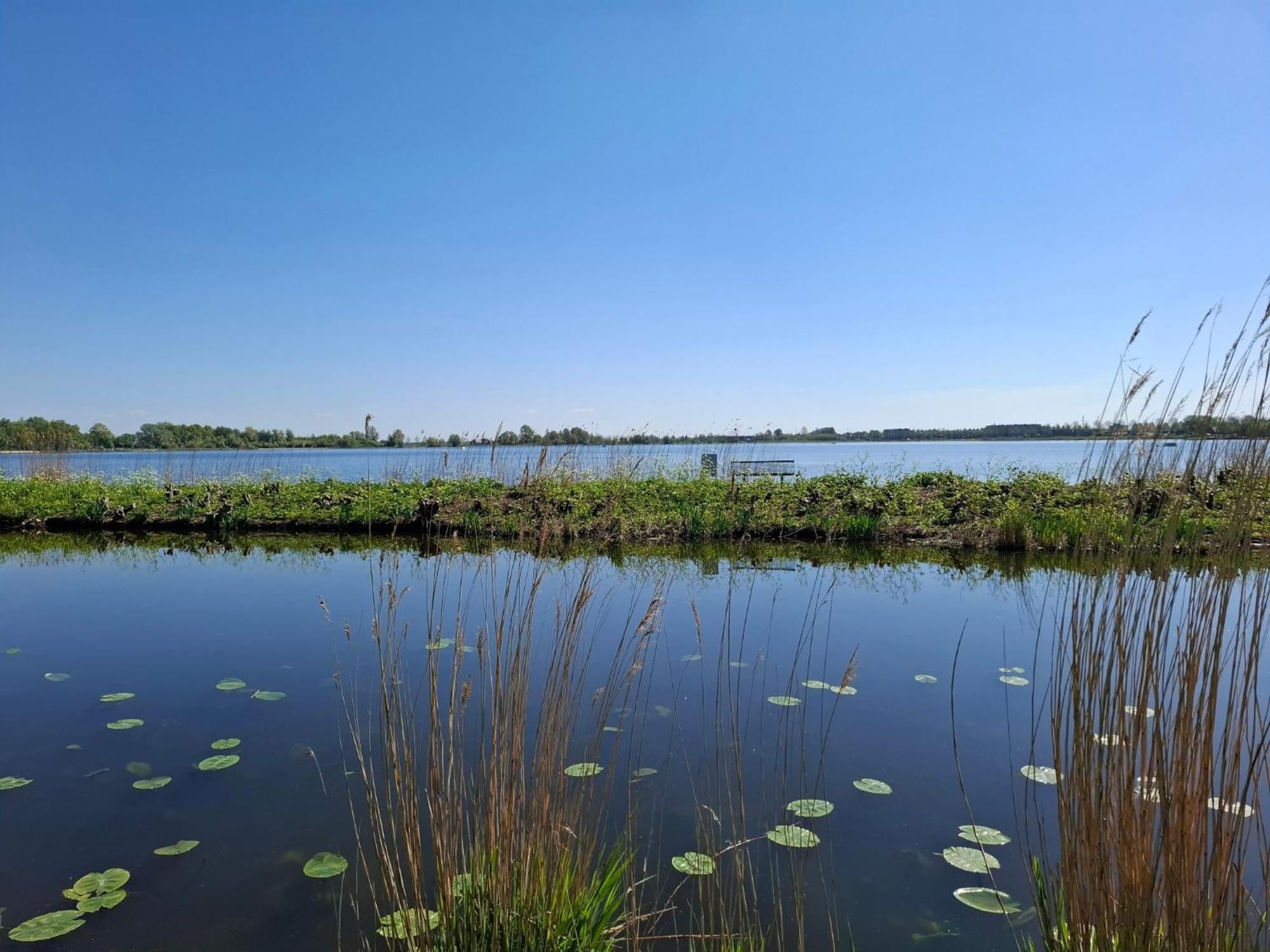 זוטרמיר Sweetlake מראה חיצוני תמונה
