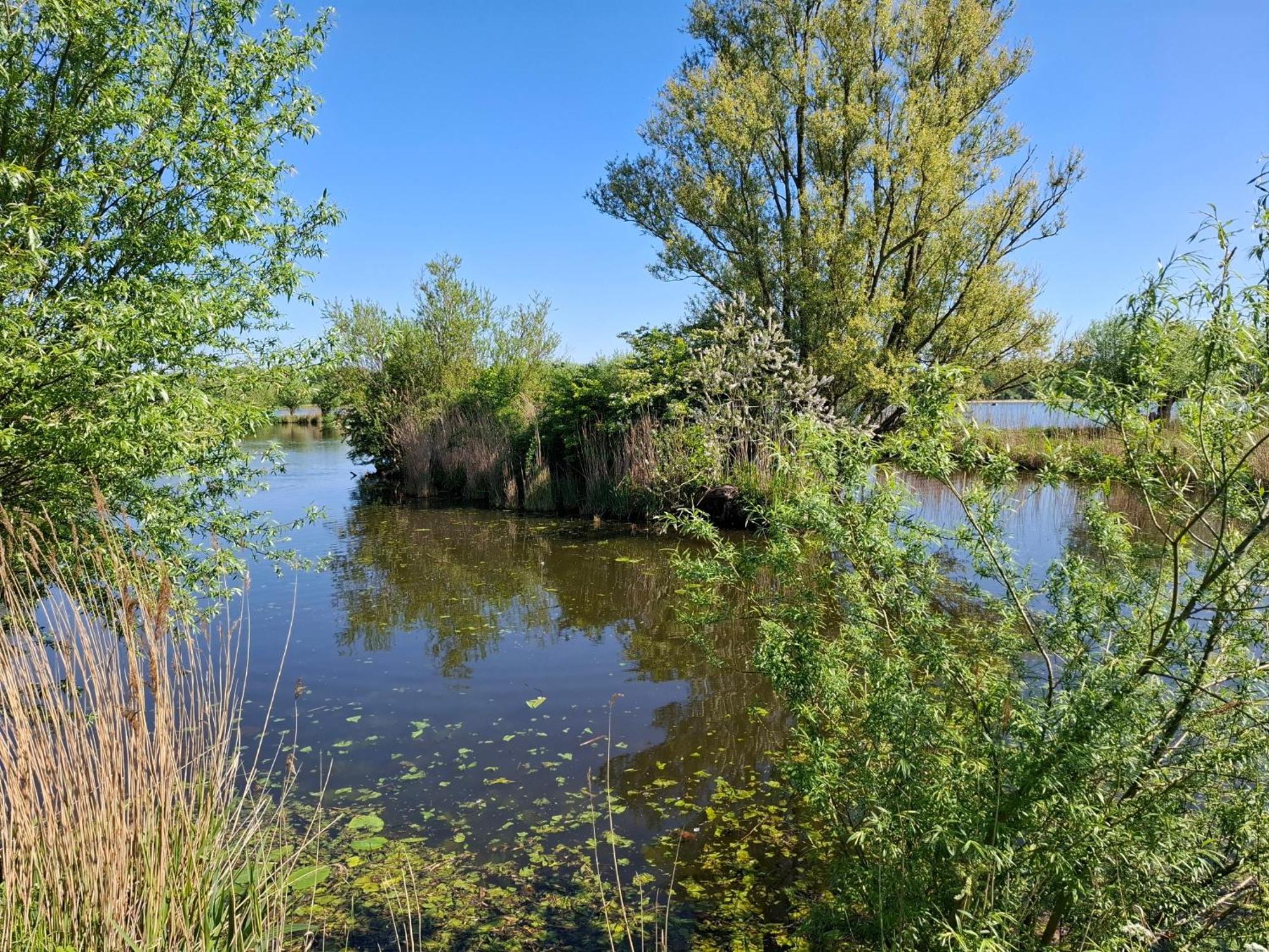 זוטרמיר Sweetlake מראה חיצוני תמונה