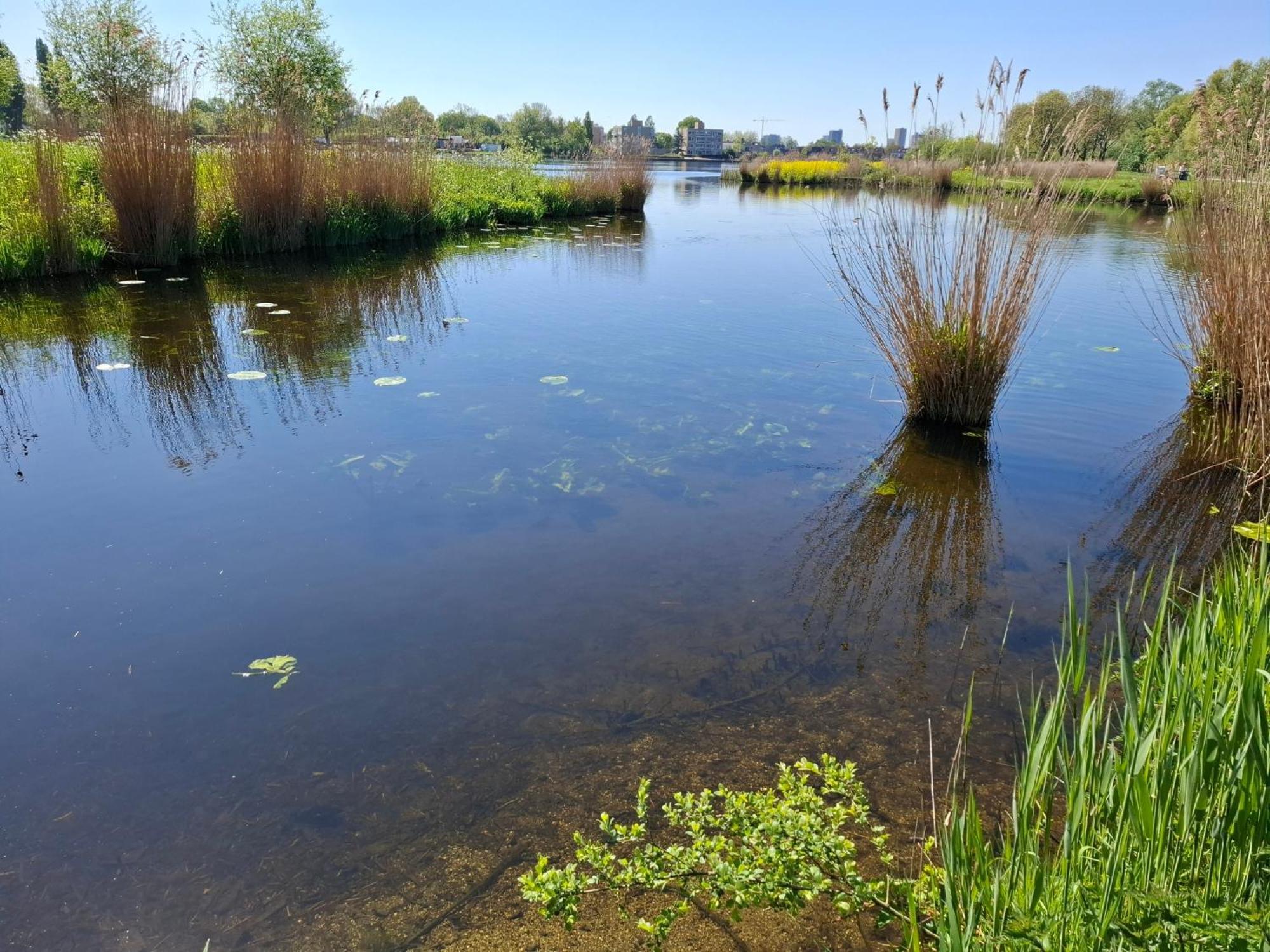 זוטרמיר Sweetlake מראה חיצוני תמונה