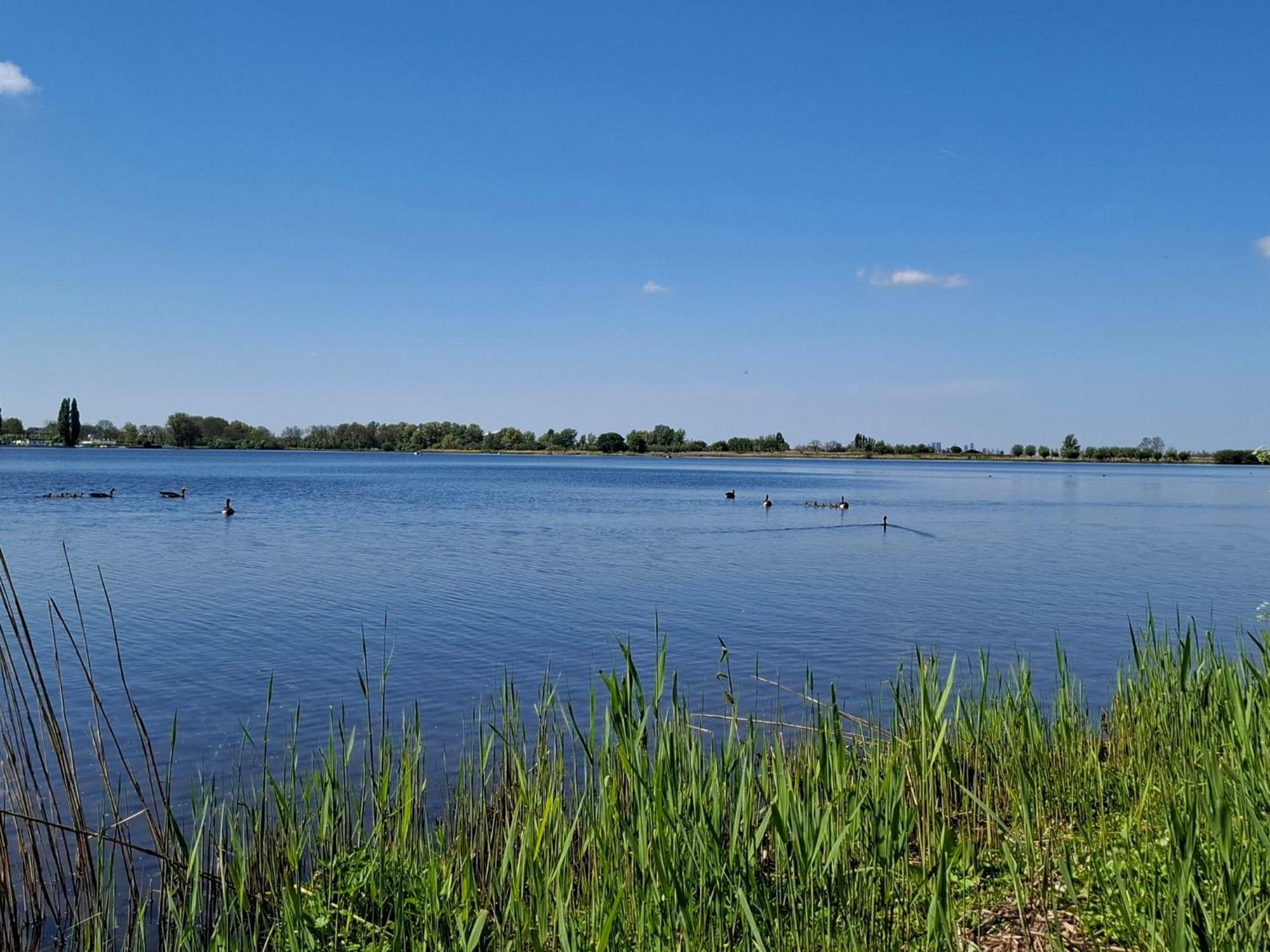 זוטרמיר Sweetlake מראה חיצוני תמונה